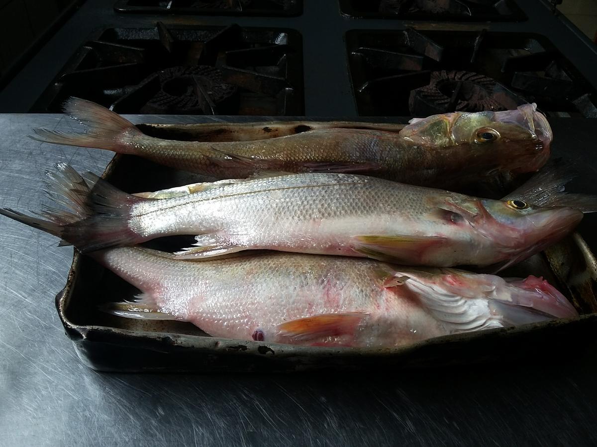 Pousada Chef Brasil Barra Velha  Eksteriør billede