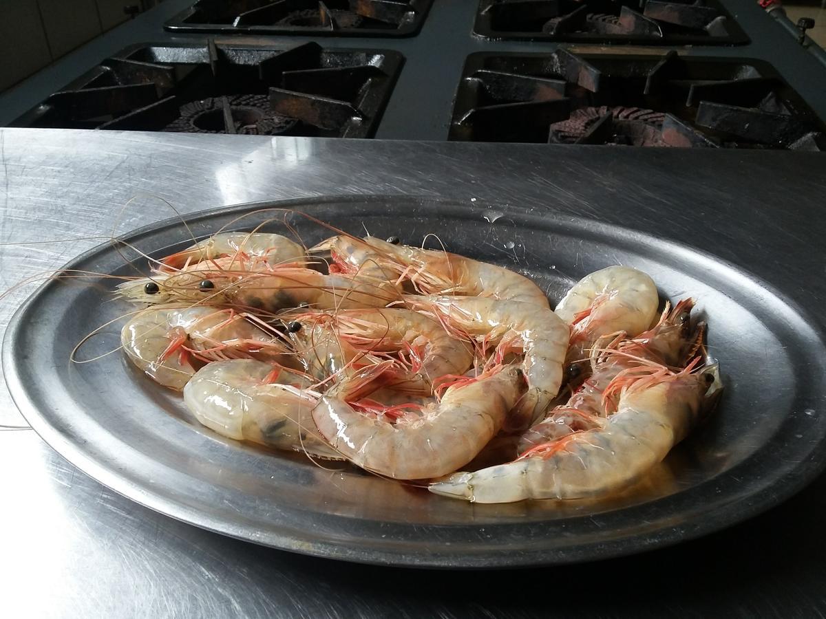 Pousada Chef Brasil Barra Velha  Eksteriør billede
