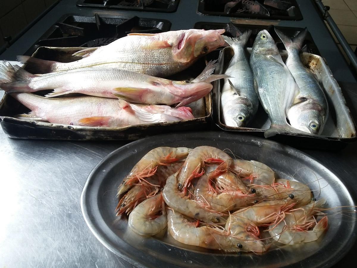 Pousada Chef Brasil Barra Velha  Eksteriør billede